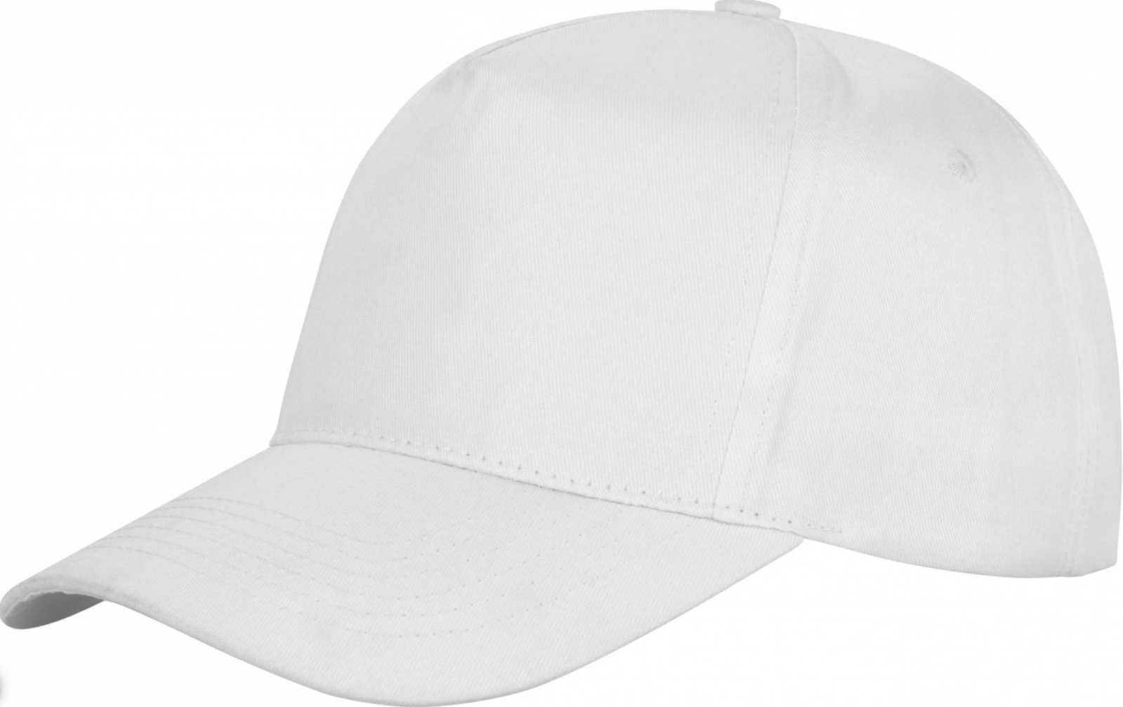 Result Cap 5 Panel